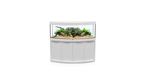 Aquarium Fusion Horizon 150x55 White
