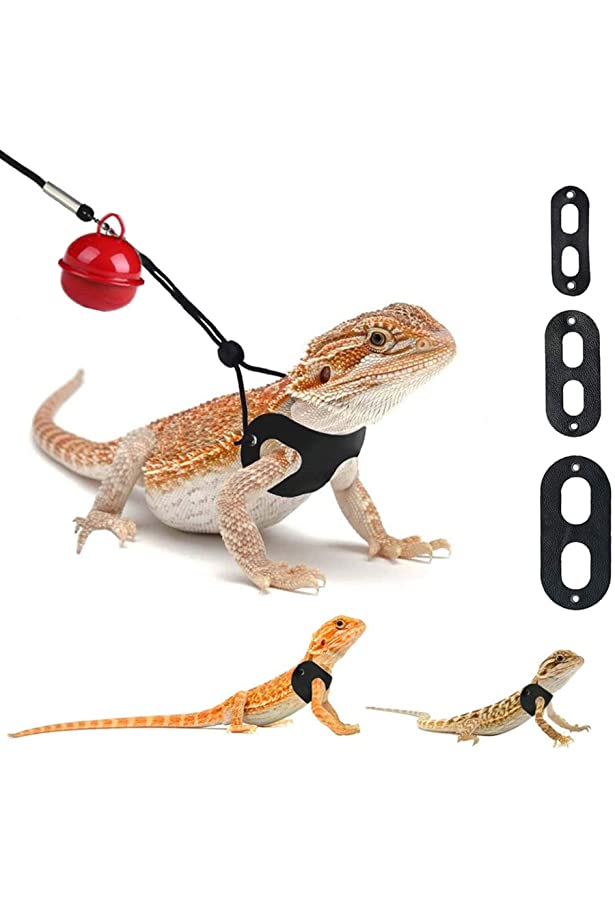 Reptile Leash