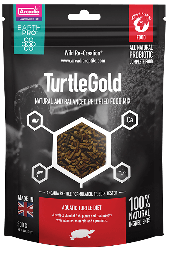 Turtle Gold