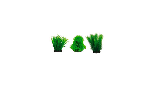 Japan Plant Mix 1 Series