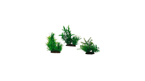 Japan Plant Mix 2 Series