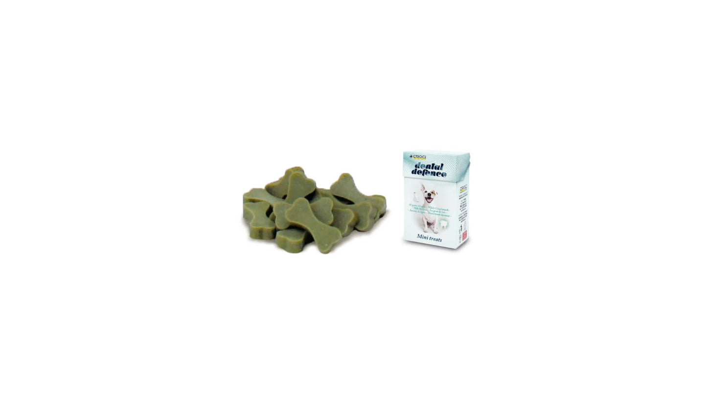 Dental Defence Green Tea Mints