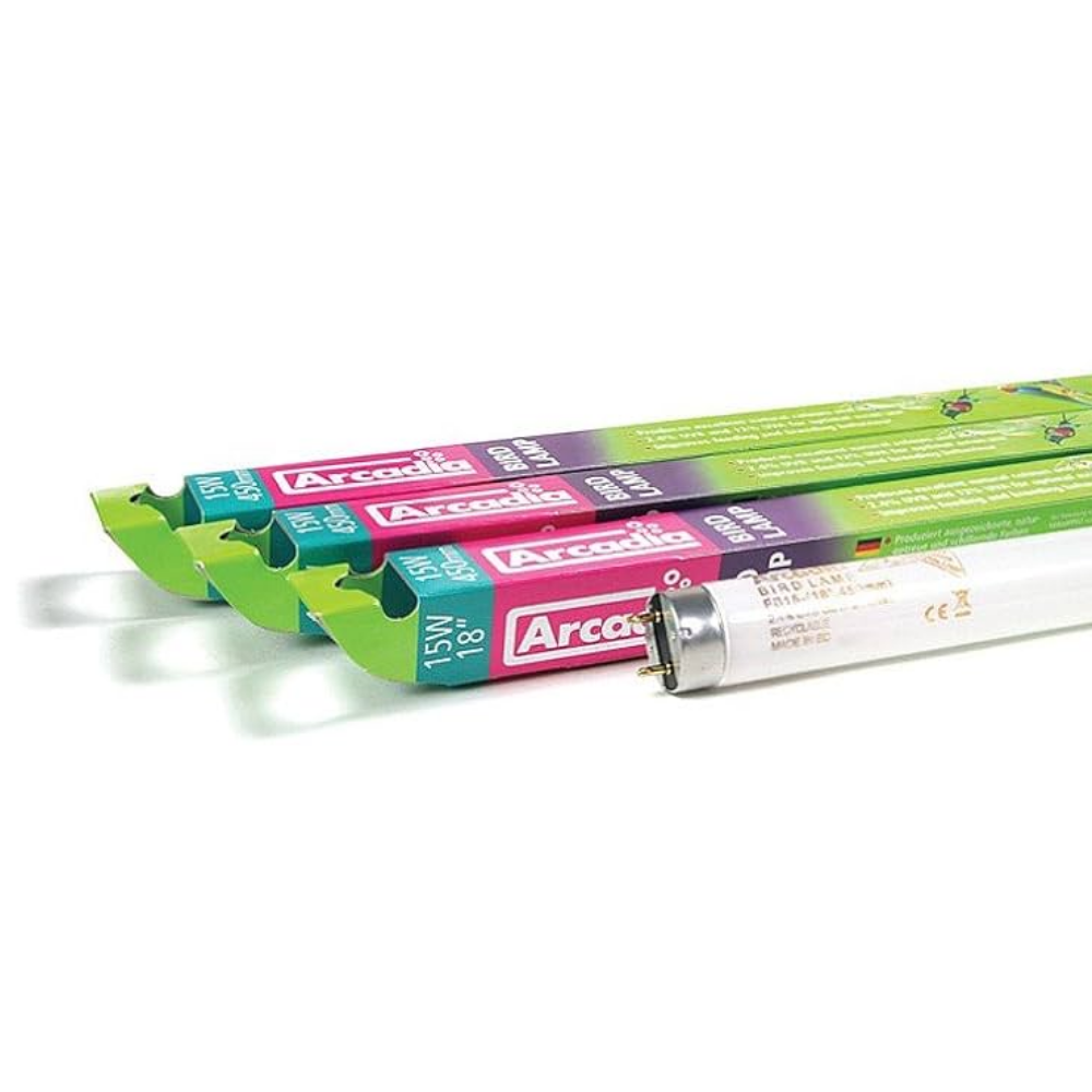 Arcadia Bird T8 Fluorescent Lamps | Full-Spectrum + UV-B Lighting