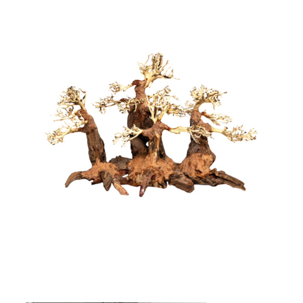 FOREST BONSAI M – Natural Aquarium Bonsai Tree Decoration | Handcrafted Driftwood for Aquascaping (40×20×25cm)