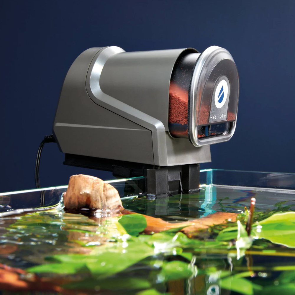 Oase FishGuard – Professional Automatic Fish Feeder
