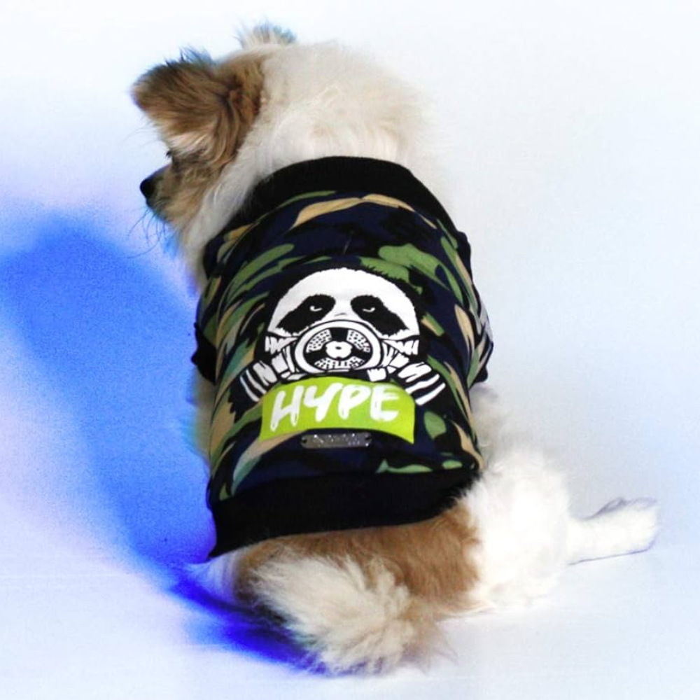 Croci Dog Sweatshirt Hype – Urban Style Streetwear