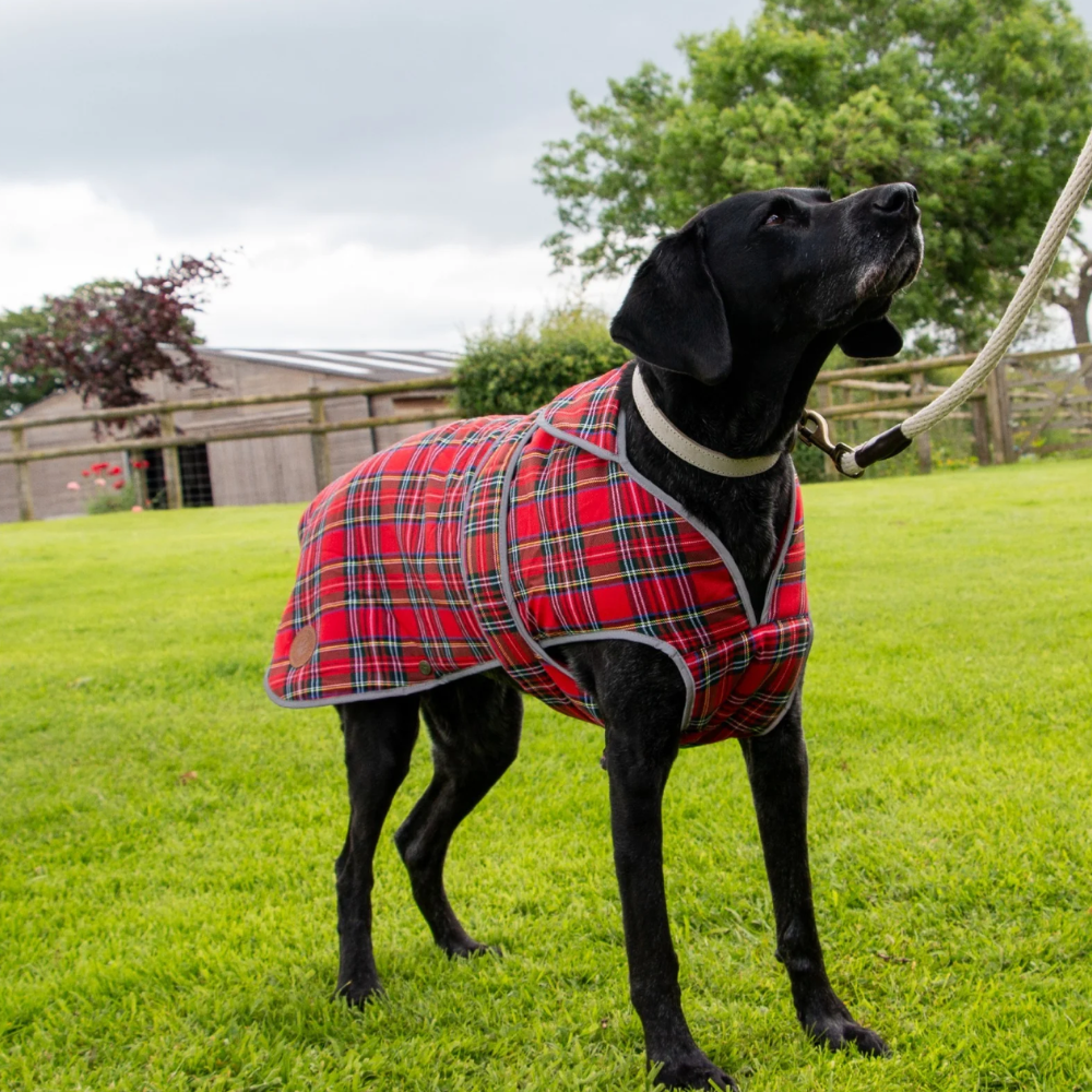 Ancol Muddy Paws Highland Tartan Dog Coat – Red