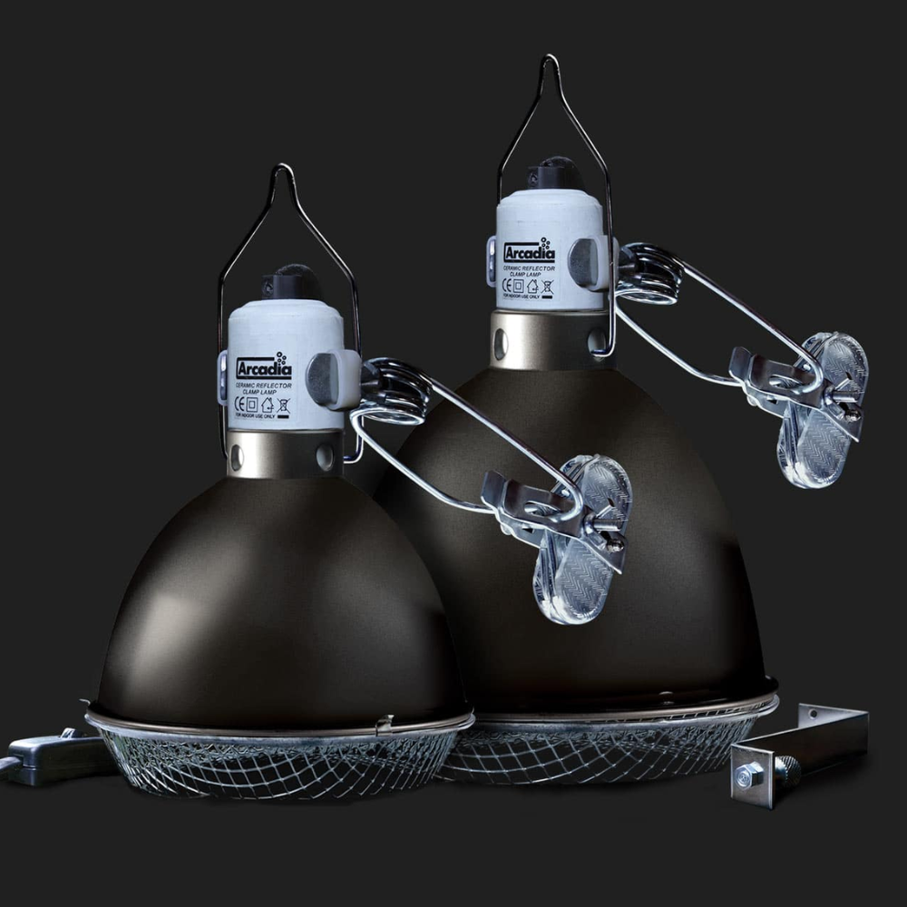 Arcadia Graphite Reflector Clamp Lamp (14cm & 20cm)