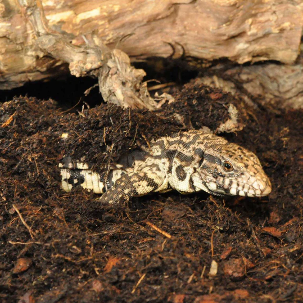 HabiStat Coir Substrate
