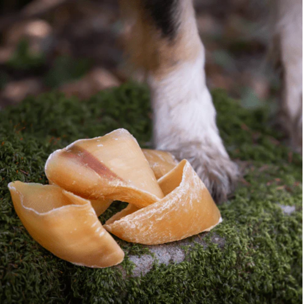 Croci Beef Hoof - Natural Dog Chew