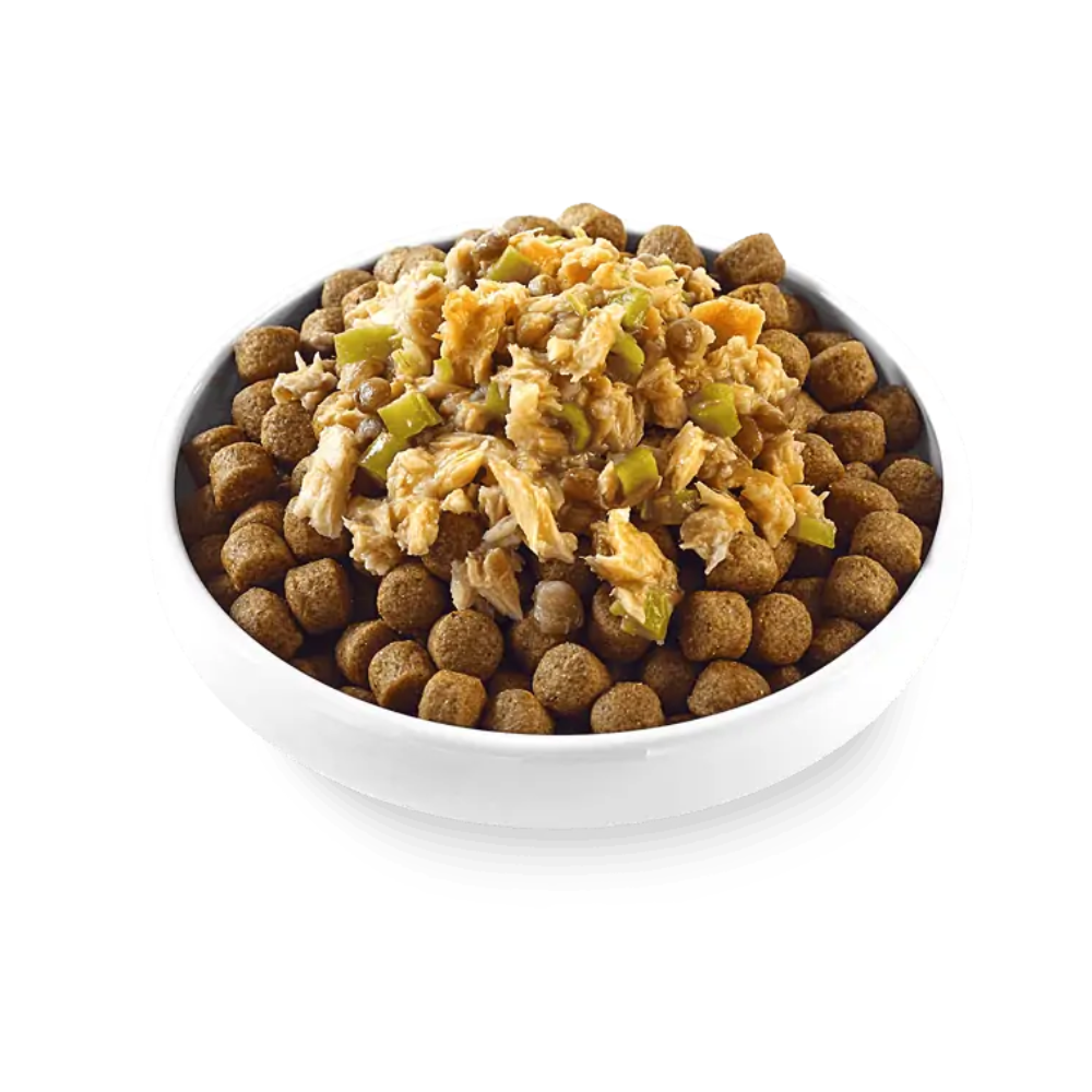 Applaws Dog Pouch Tuna Fillet with Pumpkin, Chickpeas & Kale