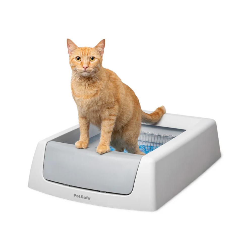 ScoopFree Clumping Litter – PAL10-17992 (Compatible with Self-Cleaning Litter Boxes)