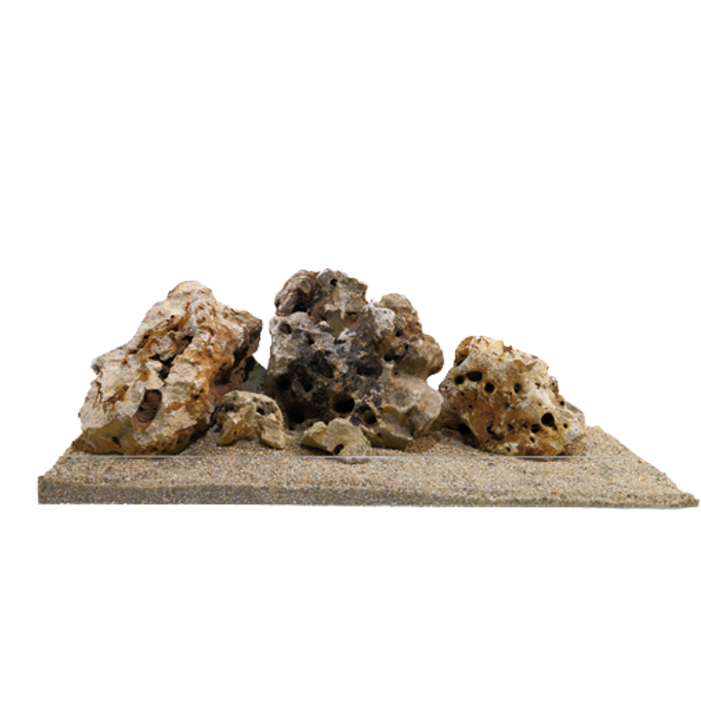 JUG HOLESTONE – Natural Aquarium & Terrarium Rock | Decorative Stone for Fish & Turtle Tanks