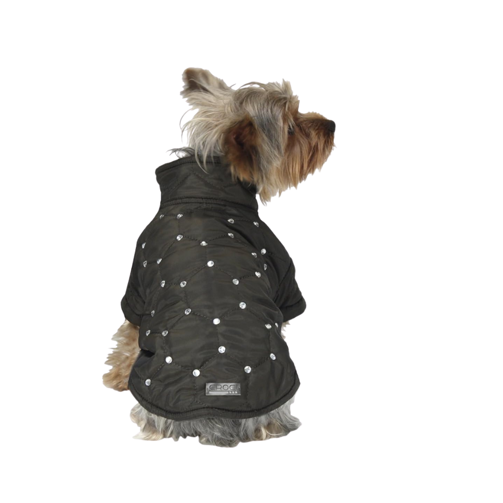 Padded Jacket Andromeda for Dogs