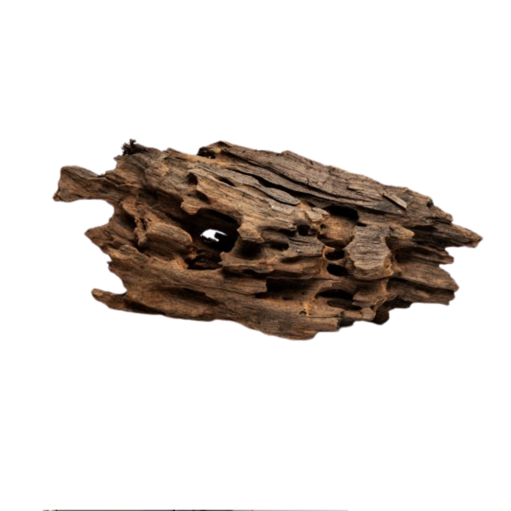 DRAGON WOOD / KG – Natural Decorative Aquarium Driftwood | Unique Aquascaping Wood for Aquariums and Terrariums