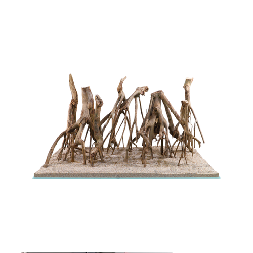 TALAWA WOOD – Natural Aquarium Driftwood | Premium Aquascaping Root for Aquariums & Terrariums (Sold per kg)