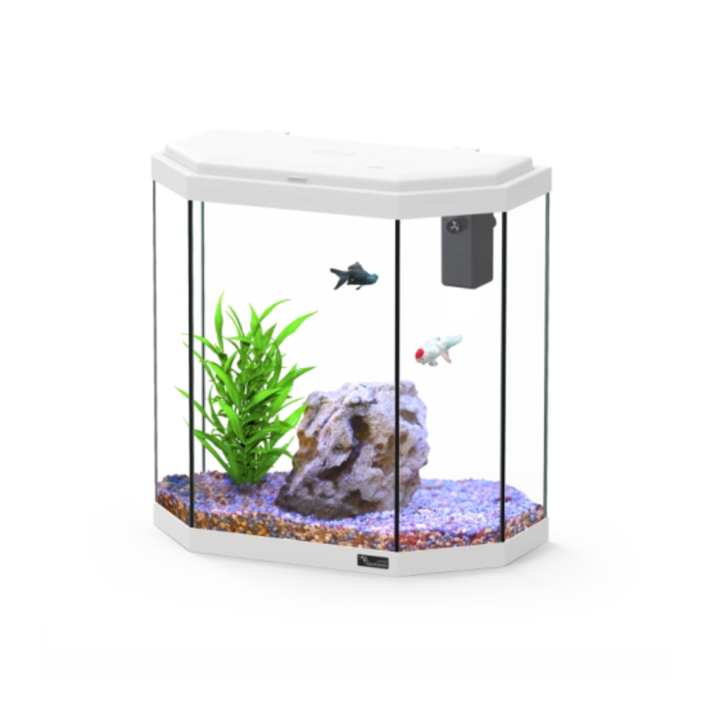 Small aquarium with plants, rocks, and fish on a white background