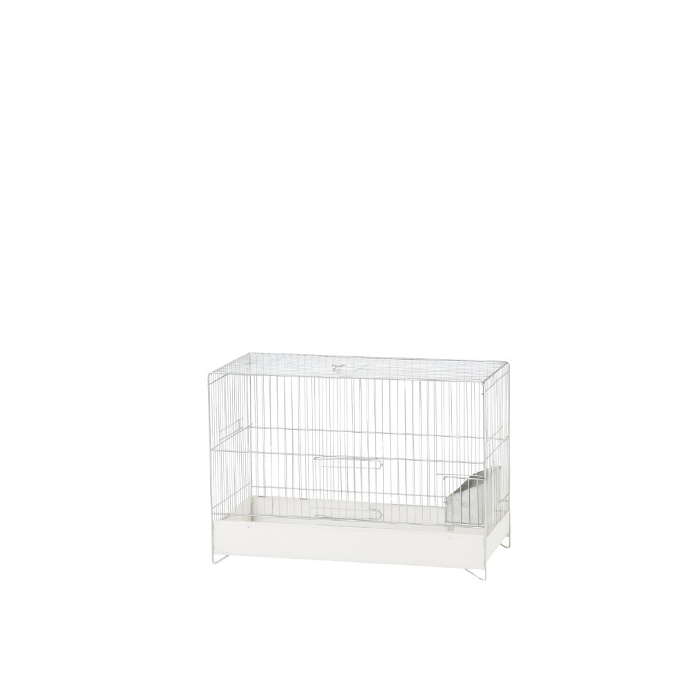 GABBIA ZINCATA – Zinc-Plated Bird Cage with White Base | Durable Cage for Small Birds