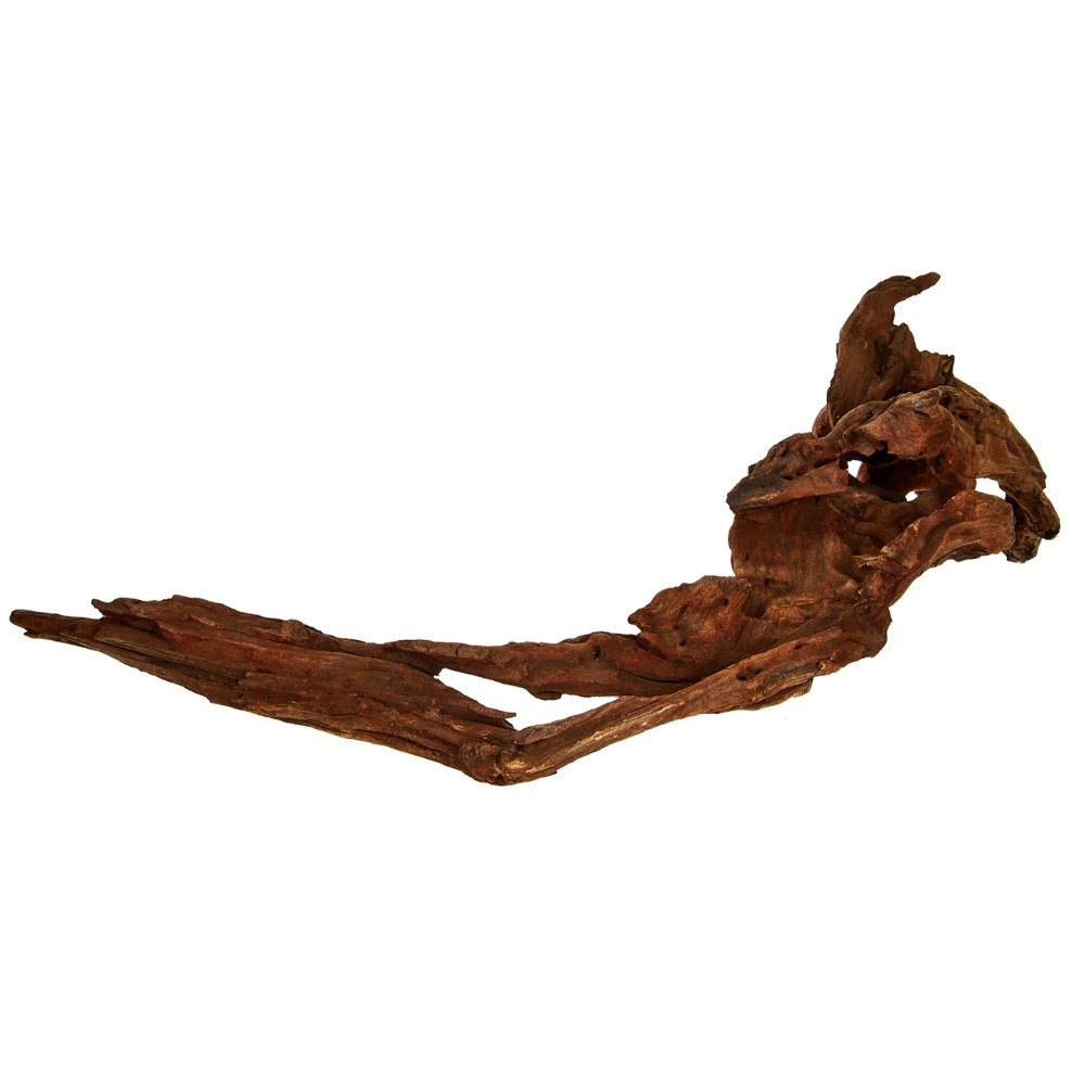 Amtra Mystic Wood – Natural Aquarium & Terrarium Decoration (25–30 cm)