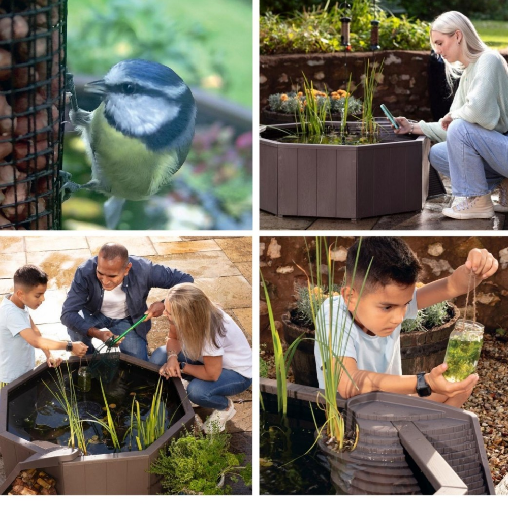 Blagdon AquaGarden Raised Nature Pond 190L