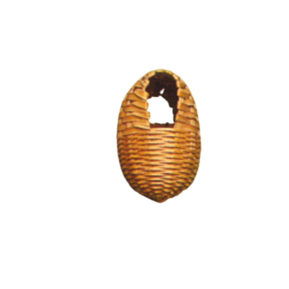 NIDO BAMBOO ESOTICI – Natural Bamboo Nest for Exotic Birds | Handcrafted Breeding Nest for Small Species