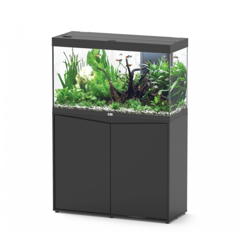 Aquarium Splendid 100x40 (6 Colours Available)