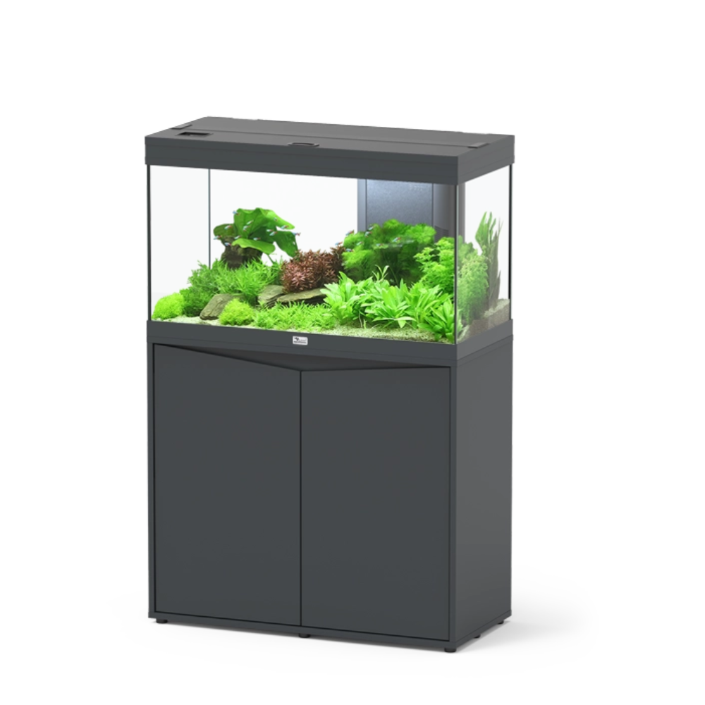 Aquatlantis Volga 125 (83cm) Aquarium – 3 Colour Options