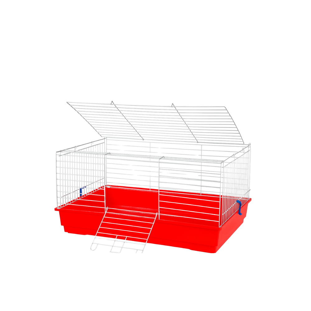 ROGER COL CROMO-FONDO COLORATO – Small Animal Feeding Bowl | Chrome Rim with Colored Base