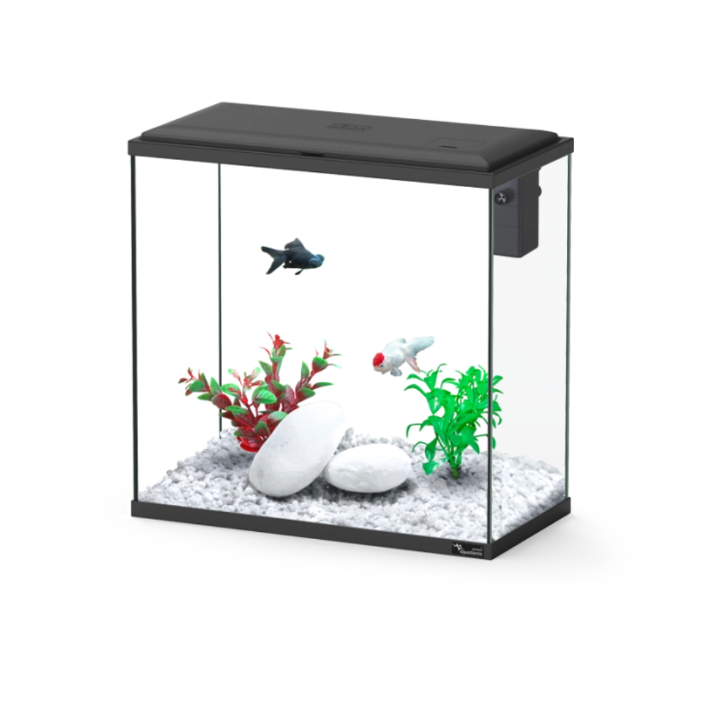 Aquatlantis Explorer Dublin Aquarium – 34 L Starter Kit