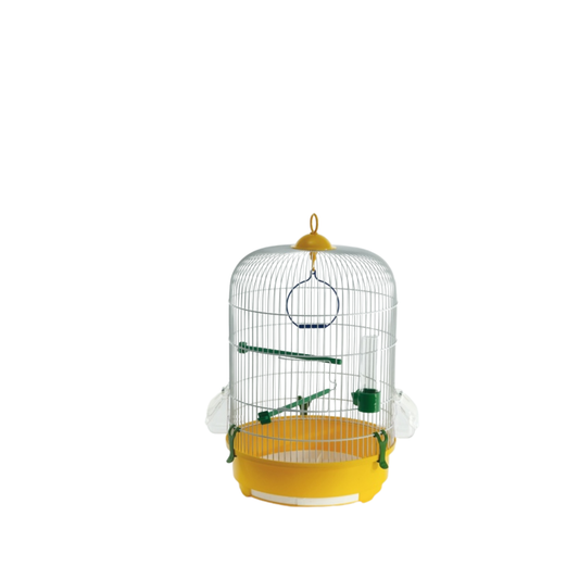 CAMELIA BIANCA – White Bird Cage with Coloured Base | Stylish Home for Canaries, Finches & Parakeets