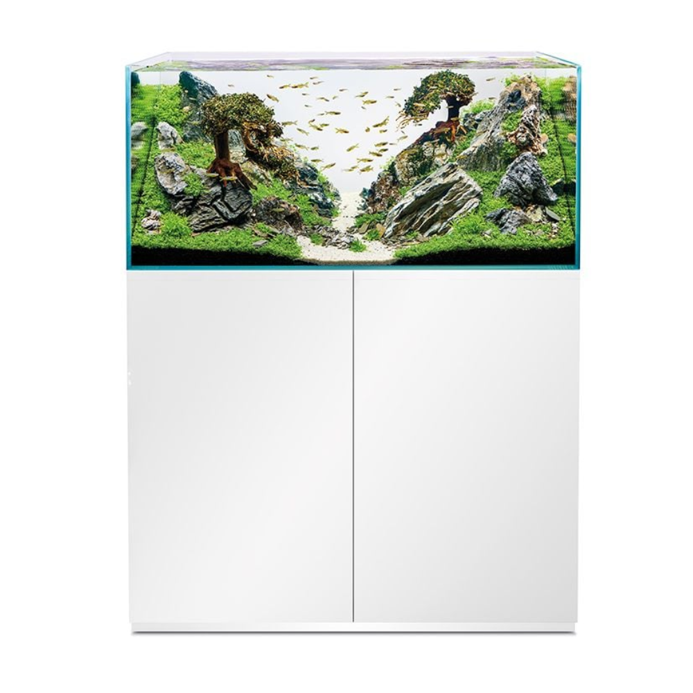 OASE ScaperLine 100 Aquarium Set – 250 L (100×50×50 cm)
