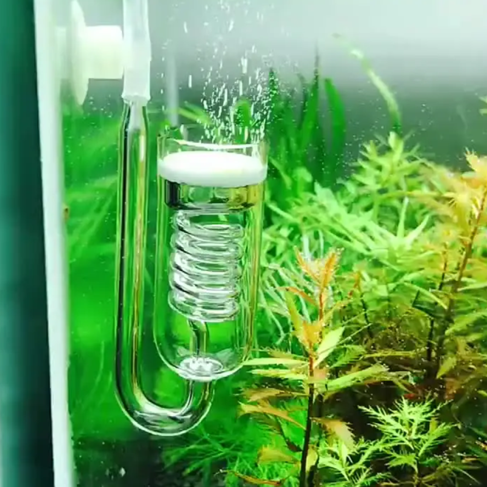 Amtra CO₂ Diffuser Spiral Glass – High-Efficiency CO₂ Diffuser for Planted Aquariums