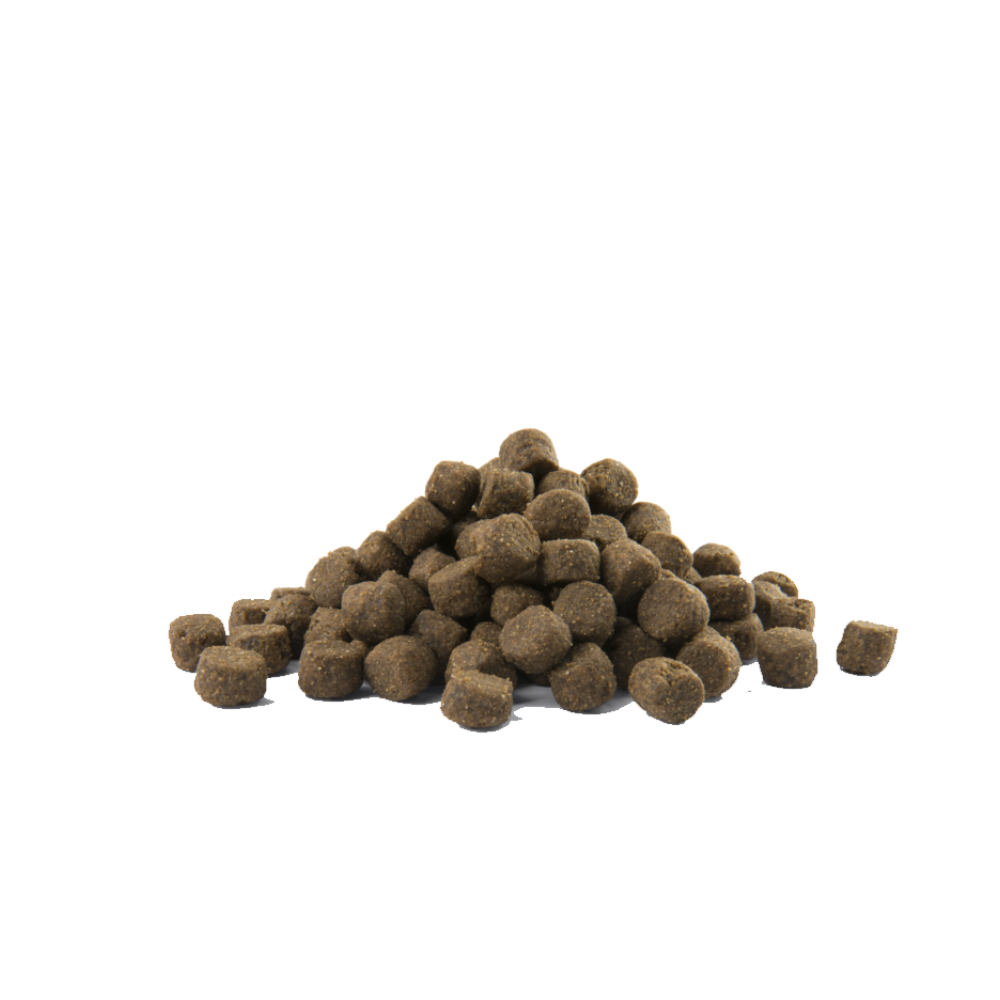 Versele-Laga Opti Life Prime Adult Salmon – Grain-Free All Breeds