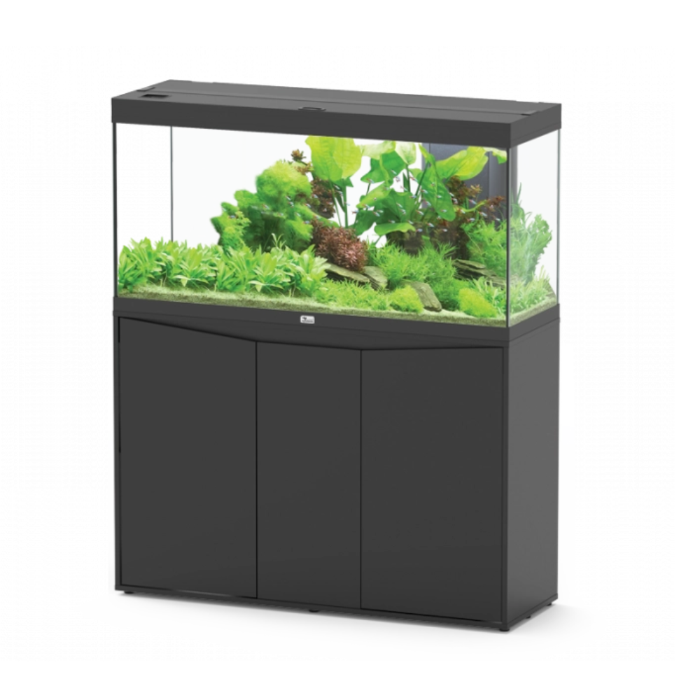 Black aquarium with green plants on a white background