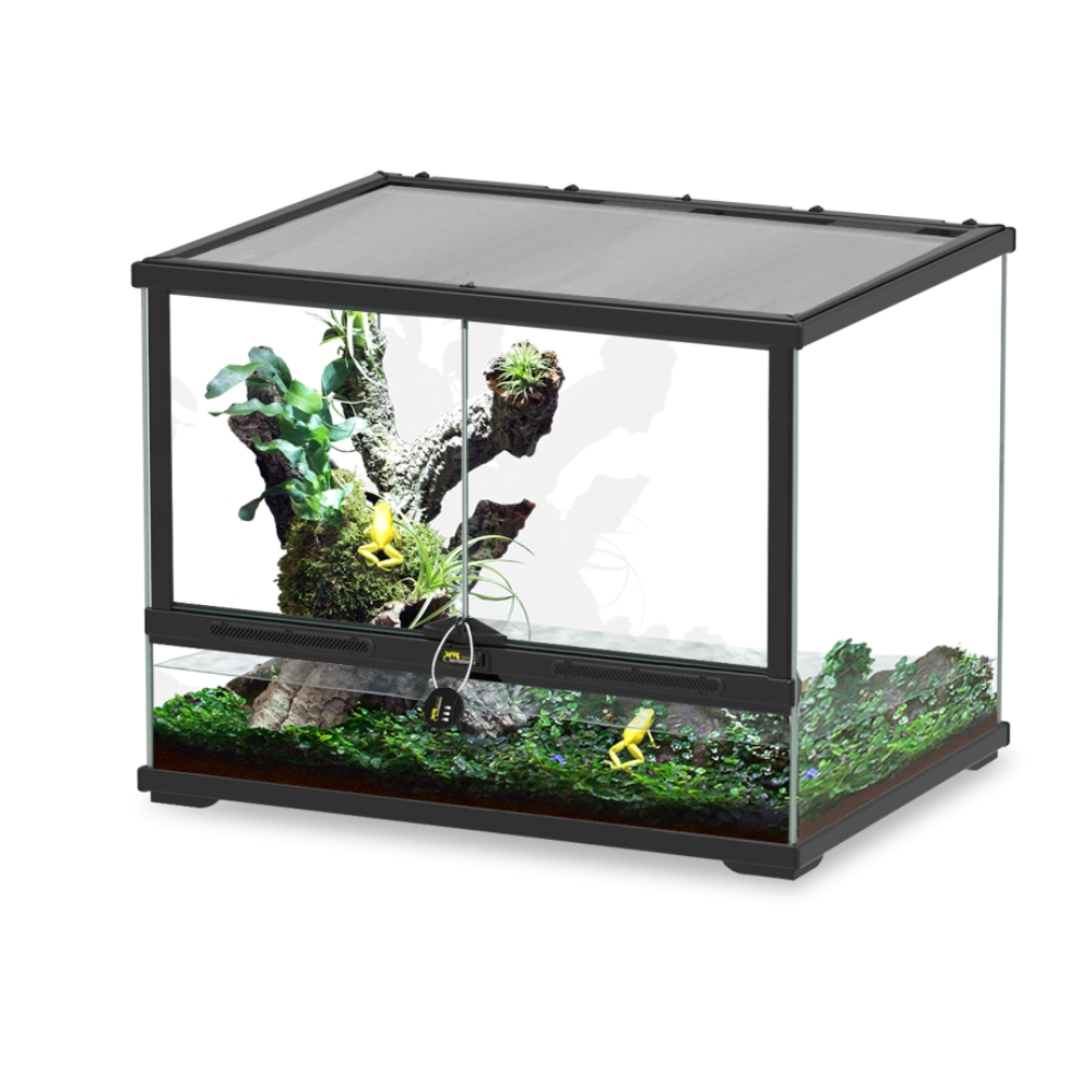Glass terrarium with plants and a tree stump on a white background