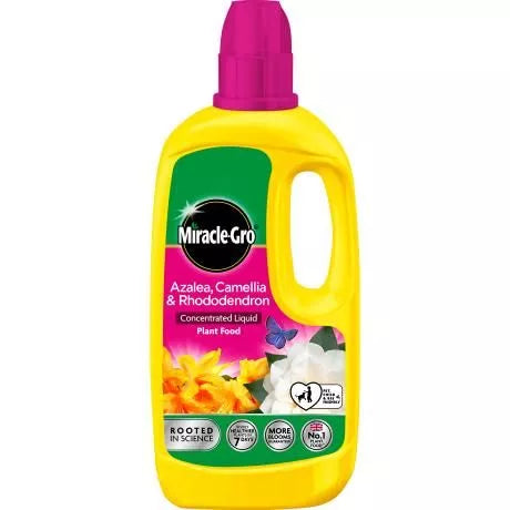 Miracle-Gro Ericaceous Liquid Food 1ltr