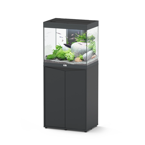 Black aquarium with fish and plants on a white background