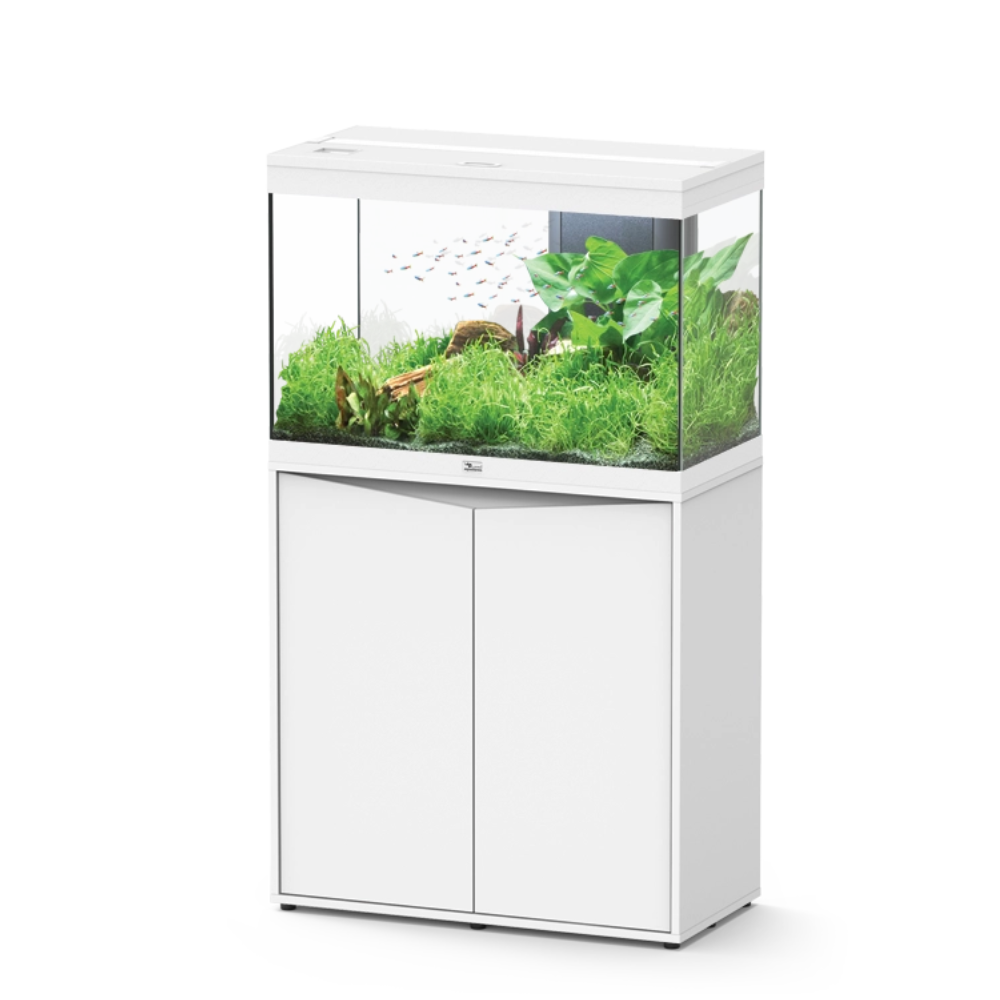White aquarium with green plants and fish on a white background