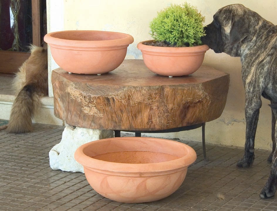 Terracotta pots on a wooden surface with a dog sniffing one of them.
