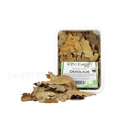 Leaf litter made from jackfruit leaves—natural bioactive substrate for terrariums