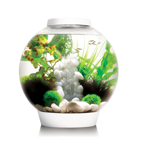 biOrb CLASSIC 30 LED aquarium in white—30 L spherical acrylic tank with LED lighting and integrated filtration