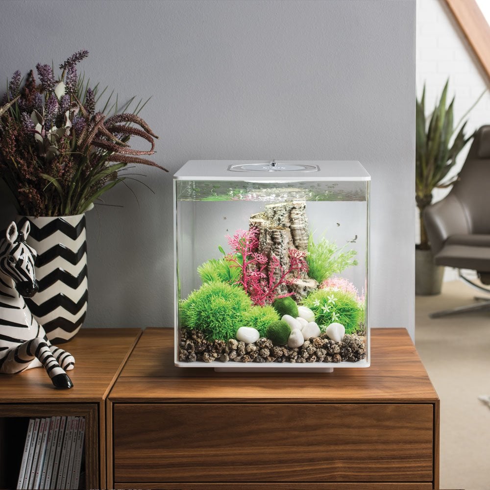 biOrb CUBE 30 MCR Aquarium – White (30 L / 8 gal)