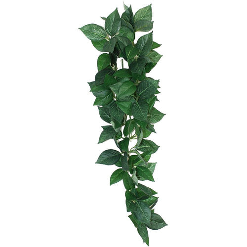 Hanging Plant Large