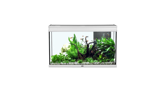 Aquarium Elegance 120x40 Grey