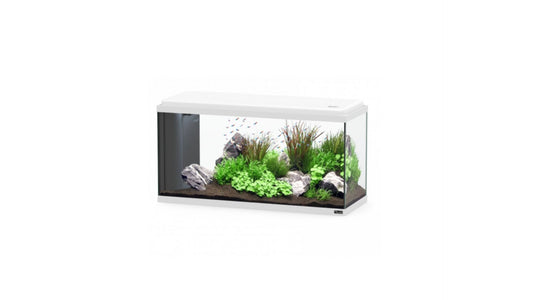 Aquarium BioLed 80 White