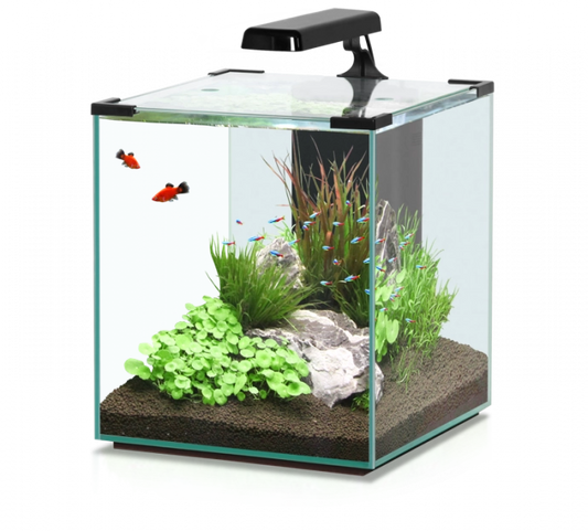 Aquarium Nano Cubic 40ltr Black