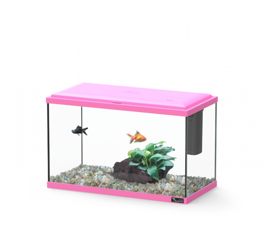 Aquarium Explorer Lisbon 40 Pink W/O Equipment