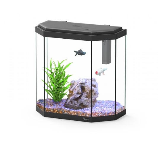 Aquarium Explorer Rome 40 Black W/O Equipment