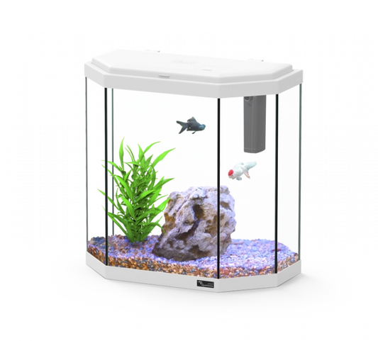 Aquarium Explorer Rome 40 White W/O Equipment