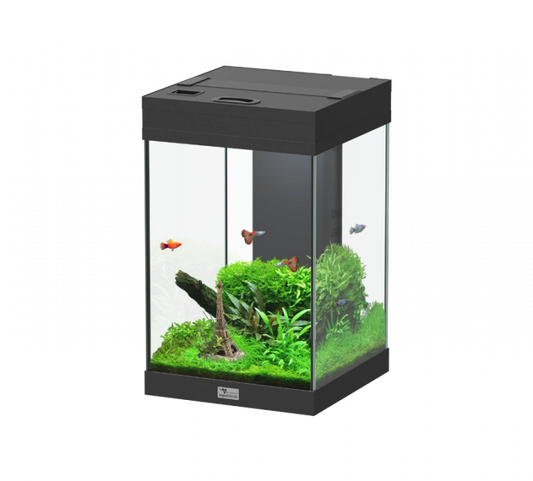 Aquarium AquaTower 43 Black